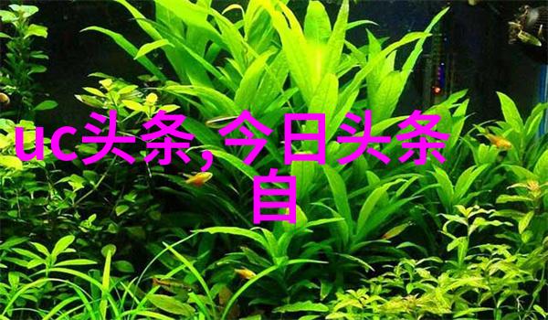 影片中的她消失与重现的故事探究