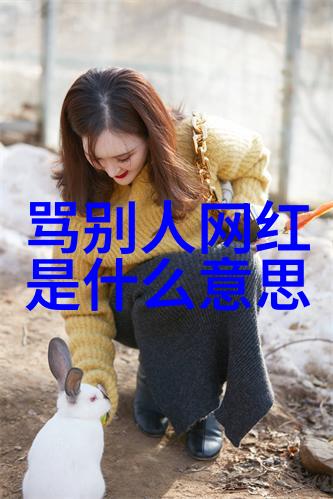 花边新闻星光闪烁下的秘密宴会