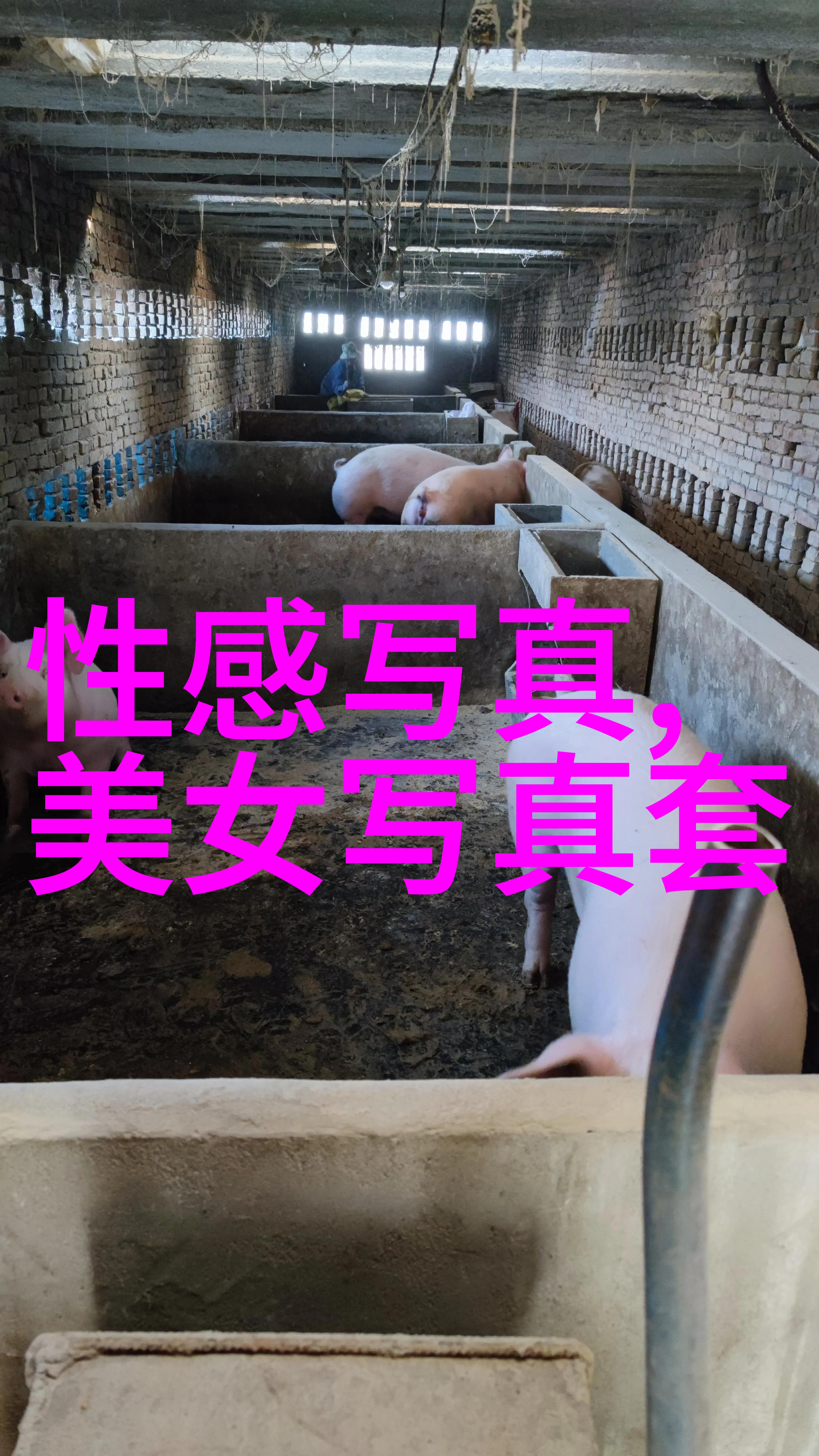 绣花枕边探索最近热播的古装剧佳作