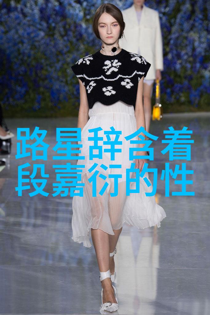 星辉娱乐闪耀的梦想与暗夜的挑战