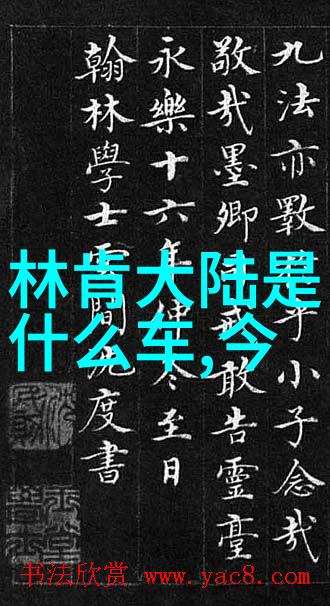 新浪娱乐张艺谋电影作品首次亮相北京国际电影节