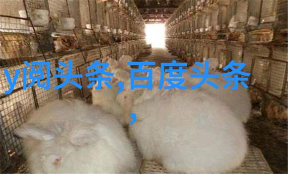 美丽写真集时尚模特的摄影作品