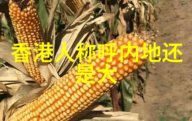 中国援助俄罗斯4000亿美元中俄合作深化