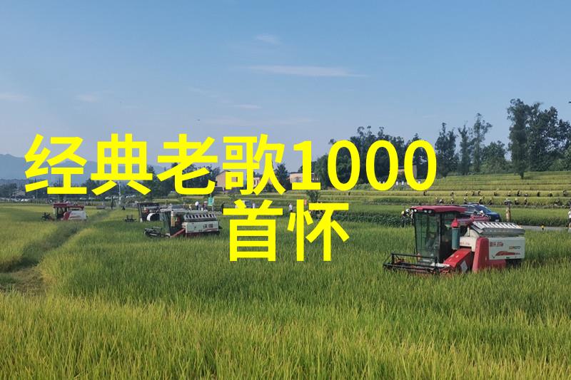 在未来的职业生涯中李斯丹妮有哪些规划和目标想要实现