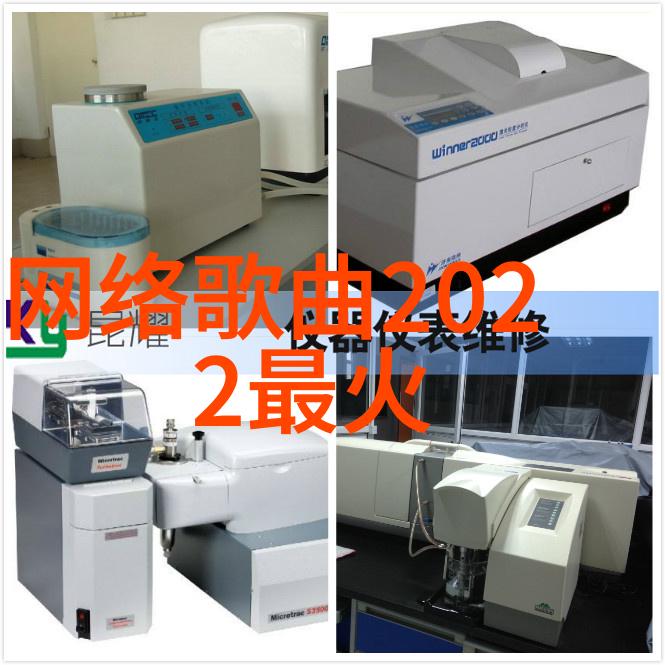 寻找身份探索个人和集体归属感的差异是什么