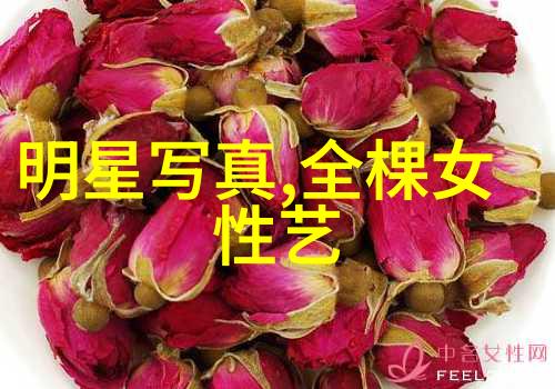 经典老歌500首完整版-回忆曲风探索那些年我们曾热爱的音乐传奇