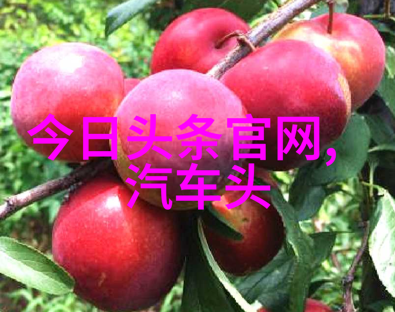 大叔头条让生活更有趣的每一天