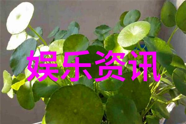 电子竞技世界杯决赛直播热度不减 两队最终对决谁将胜出