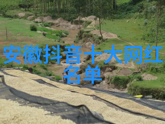 拉扯布料摩擦花缝流水 - 缦线交织的记忆探索传统刺绣艺术中的时间与空间