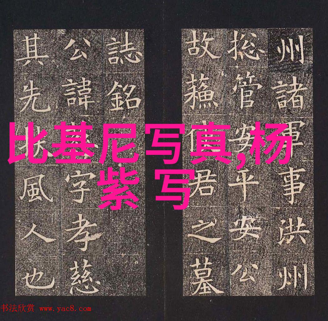 正大综艺 - 探索正大综艺文化盛宴的多元魅力
