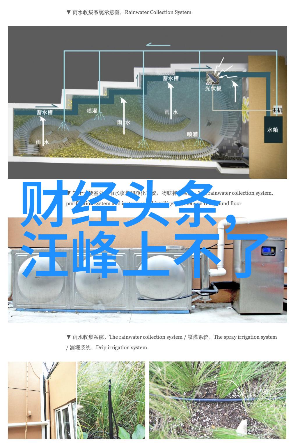 青春娱乐极致盛宴青春无限热闹时刻