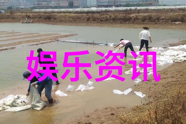 大陆的秘密七个世界的迷雾之下