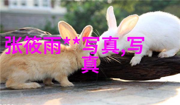 大陆的梦魇漂移之谜与地理的回声
