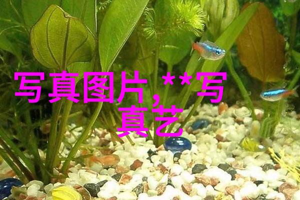 三生三世演员再客串总监名字测算八字命运差距让人难以相识