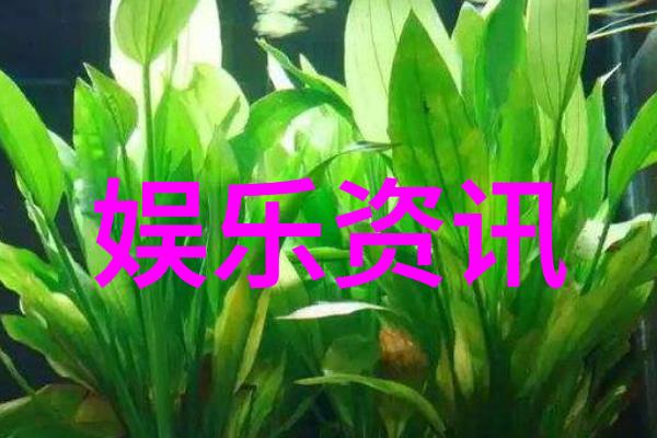 制作精细解密制作过程背后的故事了解最新电视剧的拍摄秘诀