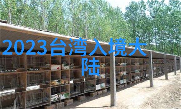 斗罗大陆免费完整版-穿梭于神秘古世的冒险者斗罗大陆免费阅读全集