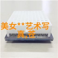 传统观众与年轻观众对于星光影视频质的接受度差异有多大