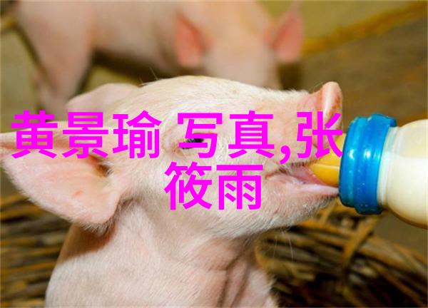 社交媒体推动了花边新闻文化但也带来了什么问题