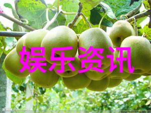 慈禧秘密生活高清完整K8我亲眼见证的慈禧太后那些不为人知的秘密生活