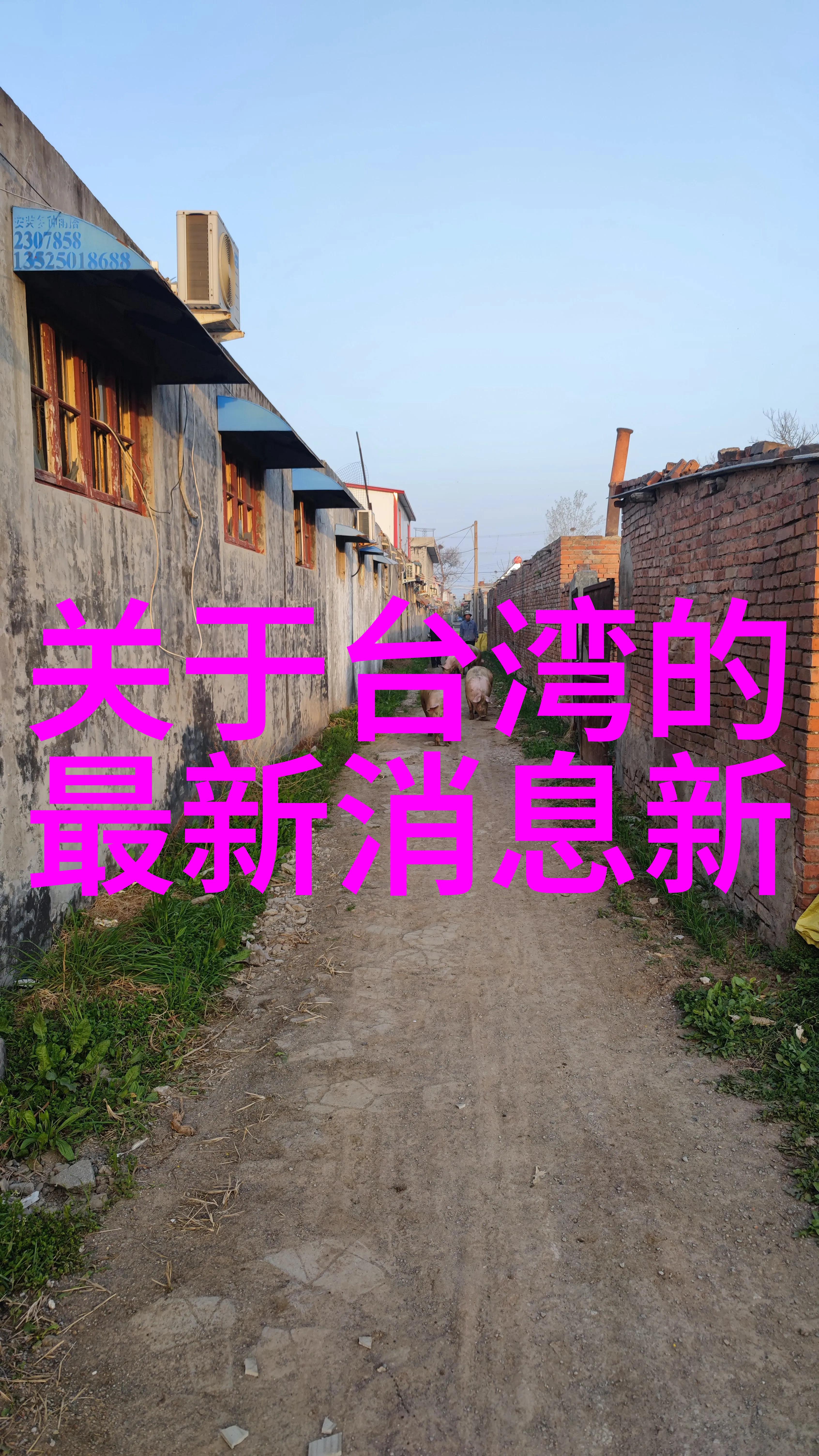 星光璀璨的宠儿娱乐圈中小神兽的万千宠爱故事