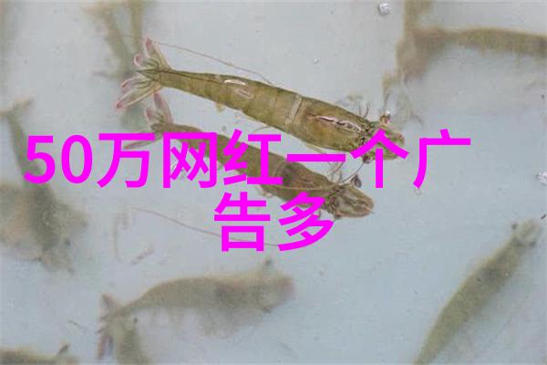 超凡英雄的诞生揭秘我的超能男神背后的故事