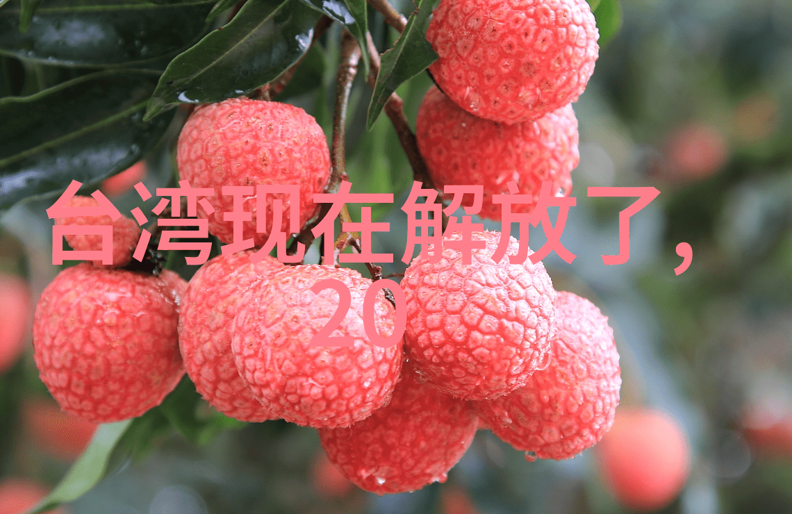 算命真的准吗揭秘星相预言的科学面貌