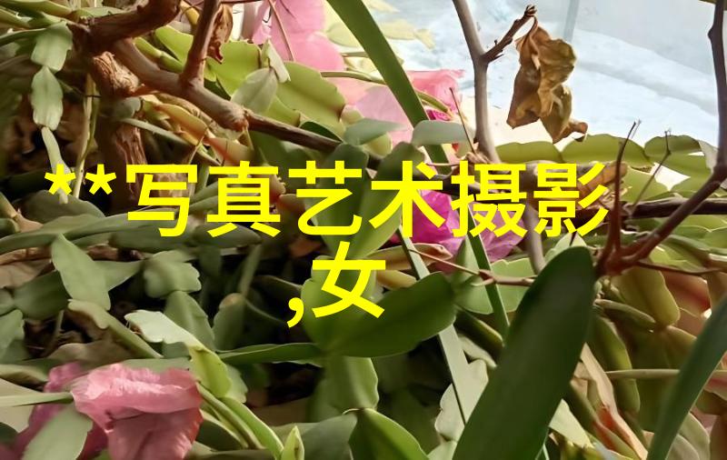 男性成长-男人大鸟硬起来揭秘雄鹰般的力量