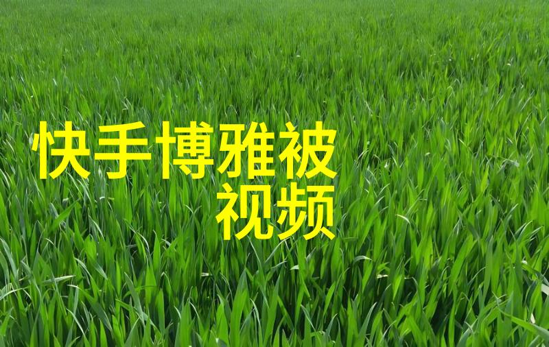 明代文化与历史再现探究以电视剧洪武三十二为视角的皇权结构与社会变迁分析