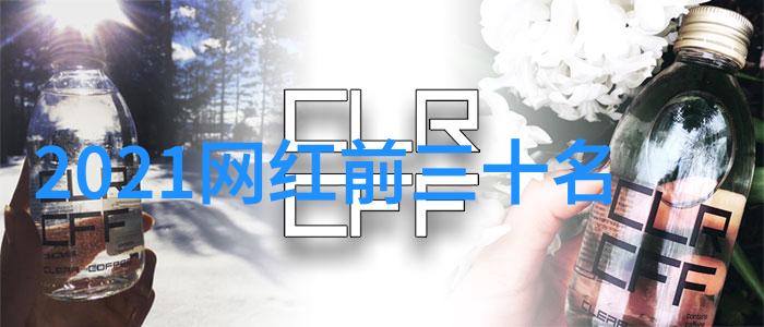 为什么是17313这个数字背后隐藏着什么
