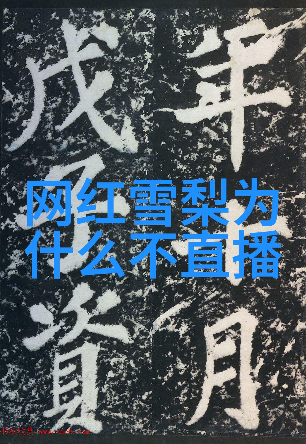 星座解析探索1月出生的天秤座特性与性格