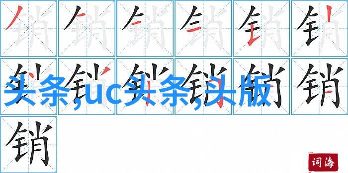 了解不同国家对于最大化利用最全八卦图的独特看法