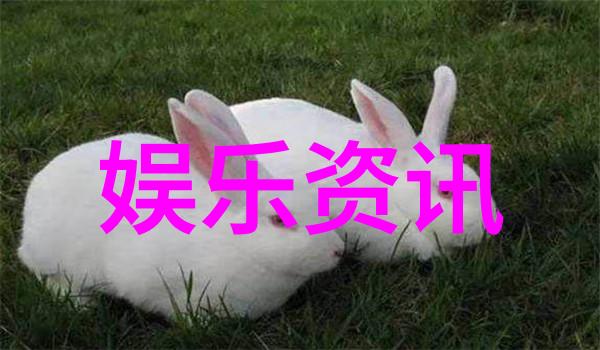 解密003020一探其在技术中的应用