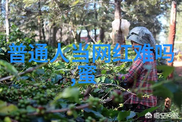 新国号的选择历史文化还是未来发展