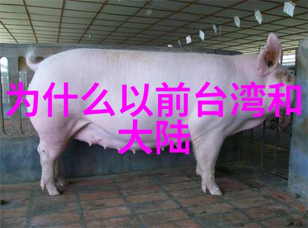 电视剧冷宫传的深度解读揭秘封建王朝的皇家禁忌与悲剧