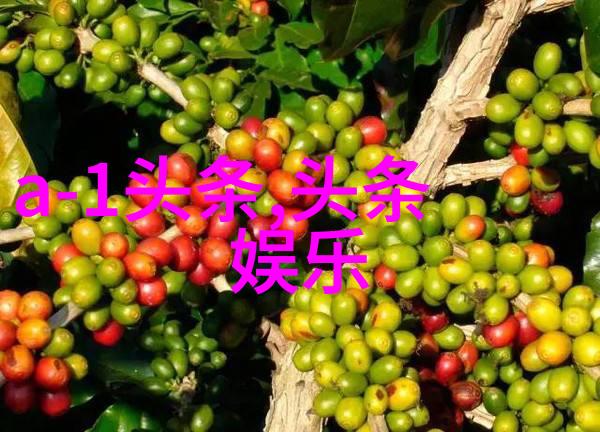 那英宣布退出娱乐圈结束一段传奇的旅程