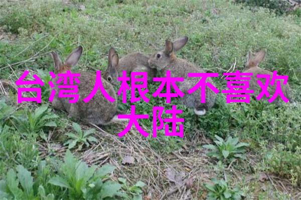 2022年回忆岁月的静态画卷