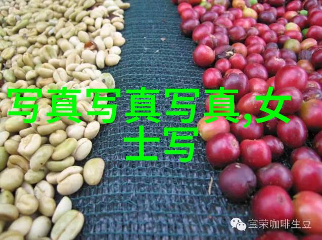 大师兄影视大全免费观看电视剧的奇妙世界