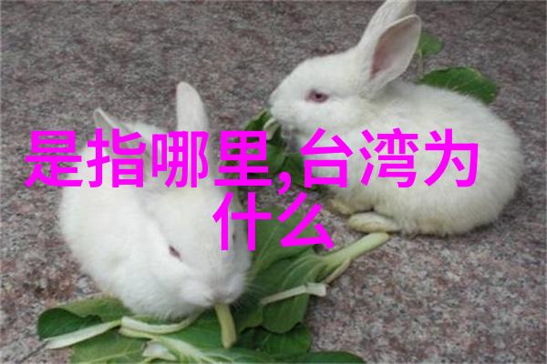 色彩对比的艺术探索从阴暗到光明