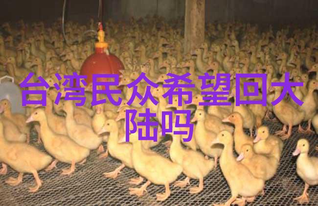五月天怪兽共练团编曲全力助阵 50部经典电视剧个人巡演7月开跑