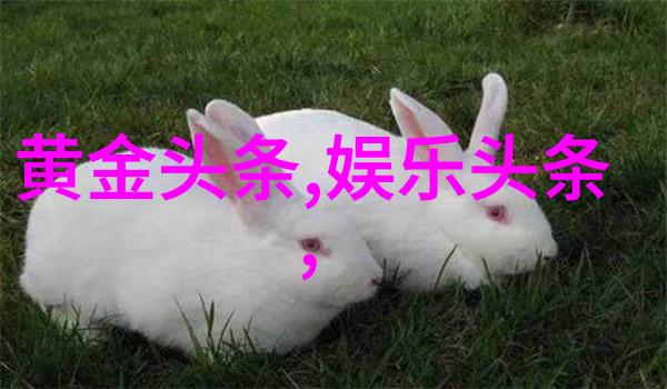台湾中文娱乐-绚烂舞台探索台湾中文娱乐产业的辉煌与挑战