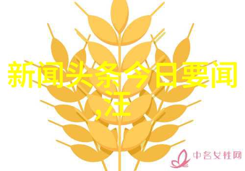 如何在今日头条找到合适的招聘机会
