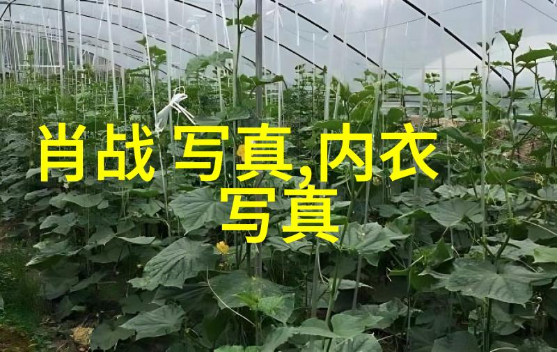 念念无明 电视剧搜狐视频开播 甜蜜马车咚 等高甜名场面抢先看