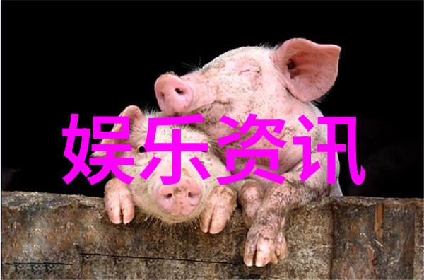 2023新款好看的图片 - 时尚前沿2023年最美新款风格大赏
