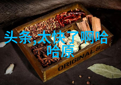 数字时代的快捷通道如何更有效地使用今日头条极速版