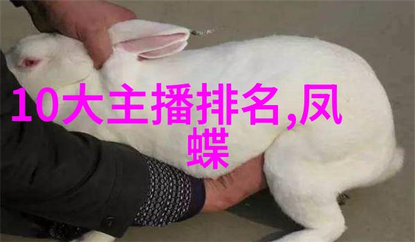 海峡两岸紧张局势与和平对话的双刃剑