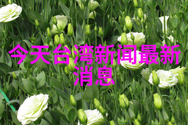 今日头条极速版下载指南轻松体验快捷新闻浏览
