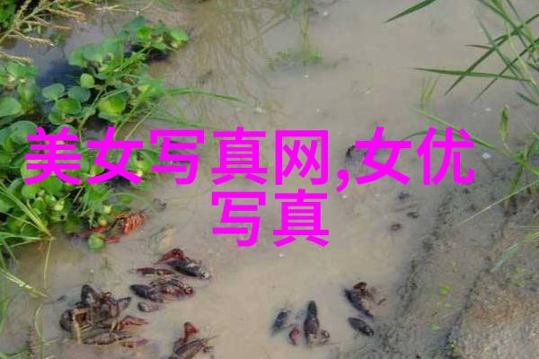 心碎画面撕裂的痛苦与永恒的记忆