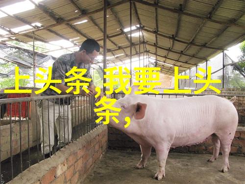 三级片电影-影视边缘揭秘三级片电影的历史与文化影响