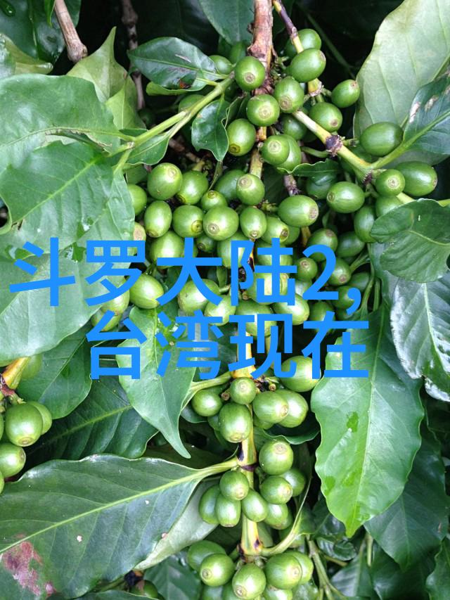 最新音乐排行榜前100首打造当下流行乐坛的热门金曲