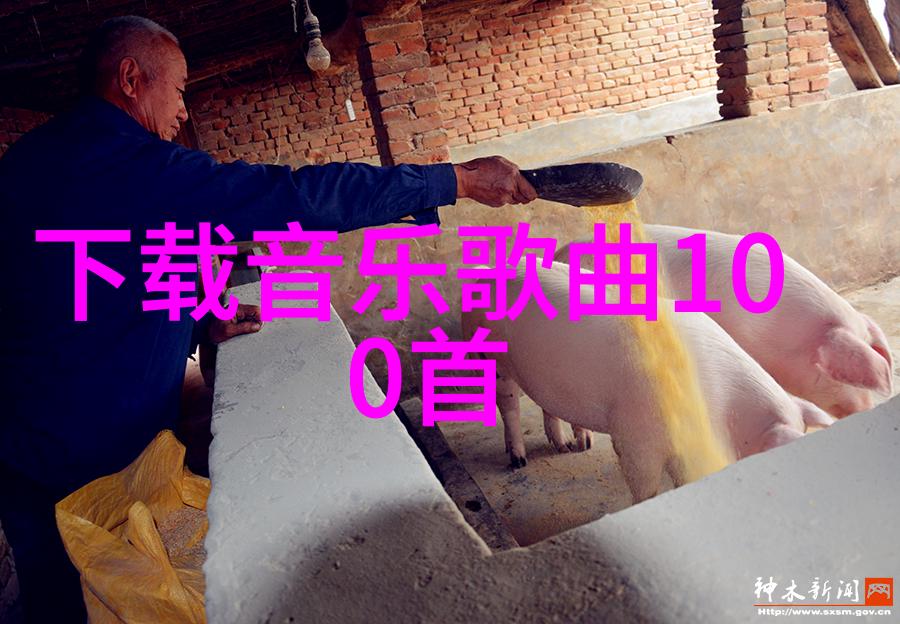 10级地震地球的怒吼与人类的无力